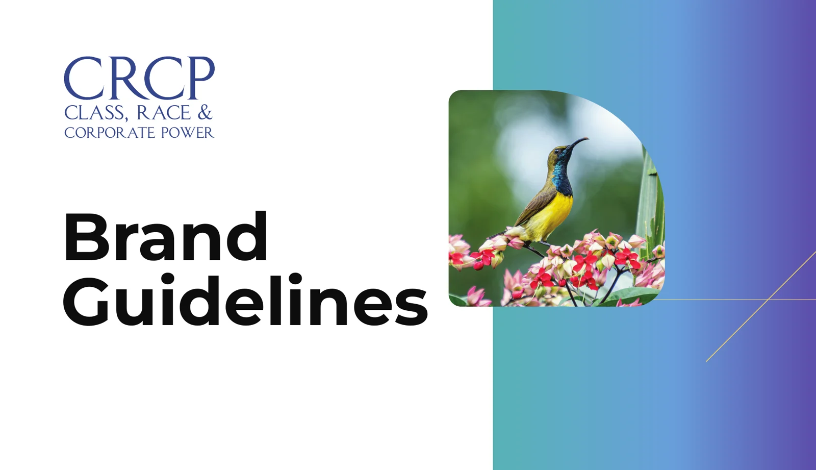 CRCP brand guidelines cover