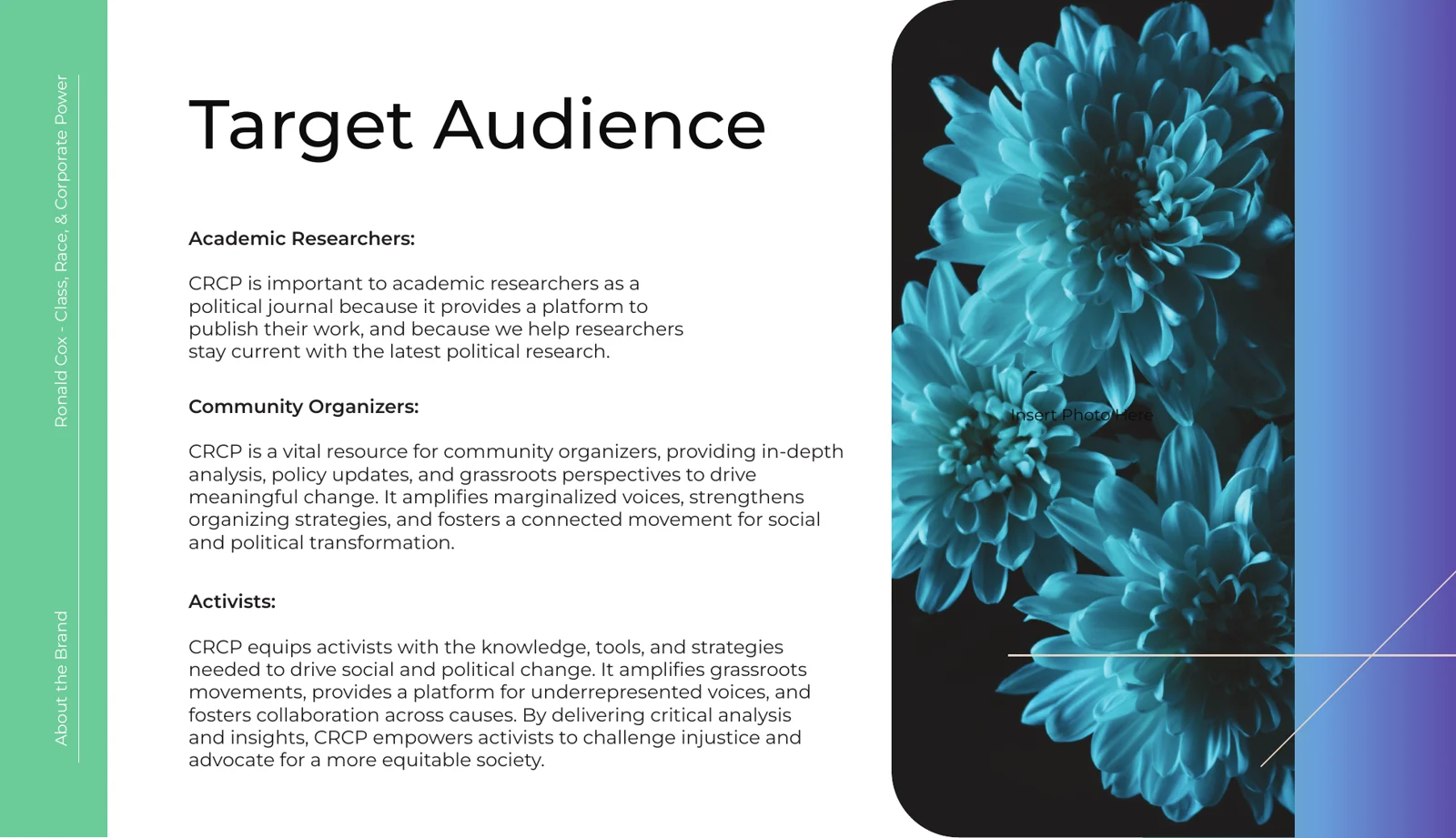 Target audience